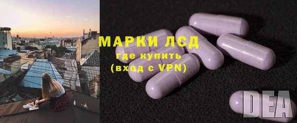 твердый Магас