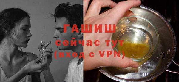 твердый Магас