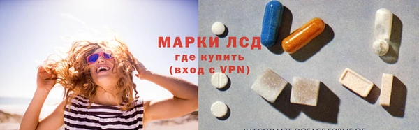 твердый Магас