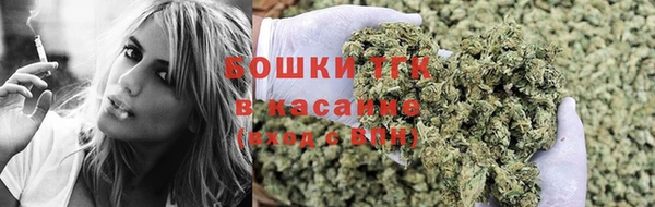 спиды Майский