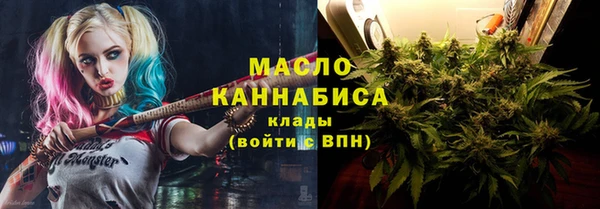 твердый Магас