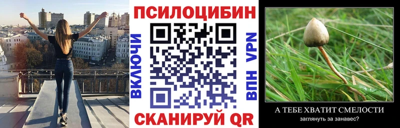 ОМГ ОМГ зеркало  купить наркотики сайты  Лебедянь  Псилоцибиновые грибы Magic Shrooms 