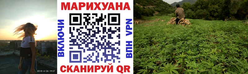 Бошки марихуана сатива  где купить наркоту  Лебедянь 